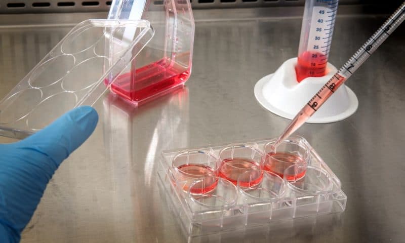 Biosimilar Competition Unleashes Unprecedented Investment Opportunities Across Global Healthcare Markets