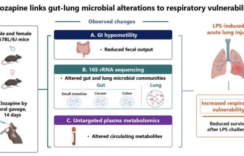 Gut-lung microbe shifts may explain clozapine’s severe bowel and lung side effects