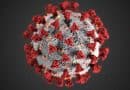 Ultrasound waves rupture COVID-19 and flu viruses without damaging cells