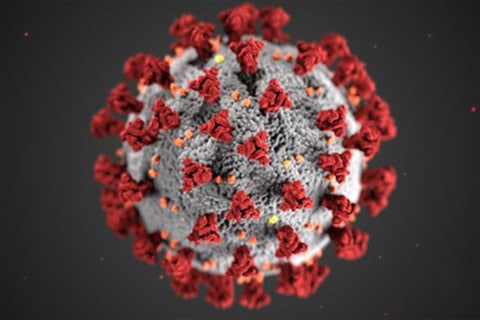 Ultrasound waves rupture COVID-19 and flu viruses without damaging cells