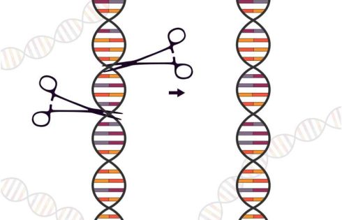 DNA ‘nicks’ make for safer, more precise genetic analysis