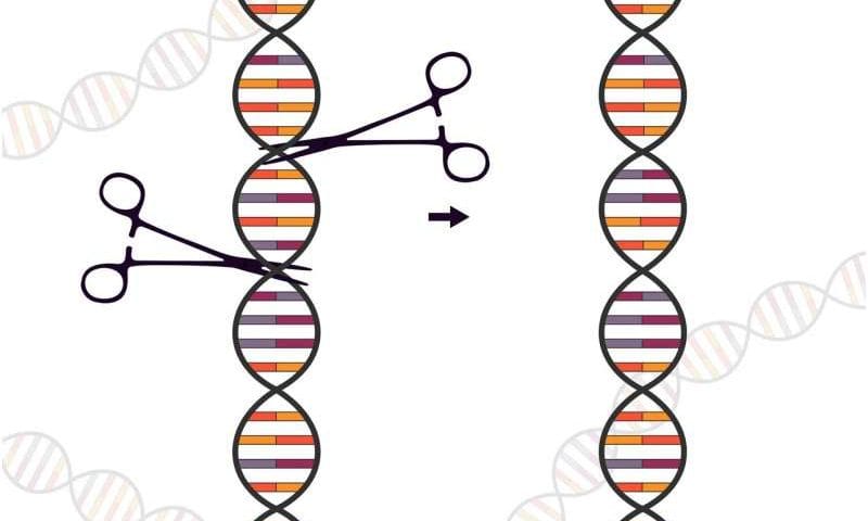 DNA ‘nicks’ make for safer, more precise genetic analysis