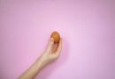 De‑extinction company says it’s made an artificial egg—if true, it could help save living species