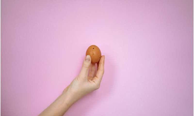 De‑extinction company says it’s made an artificial egg—if true, it could help save living species