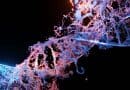 Engineered proteins store digital files with 30 times density at one-tenth cost