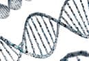 Breakthrough Gene Therapy Advance Triggers Massive Market Realignment as Big Pharma Scrambles for Position