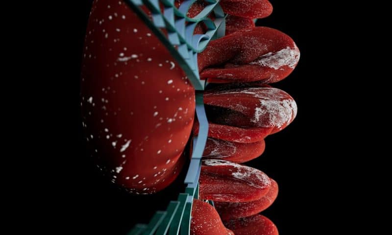 Revolutionary Gene Therapy Advance Sends Biotech Stocks Soaring Across Multiple Sectors