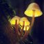 Glowing fungi expose final enzyme that could make bioluminescent tools more efficient
