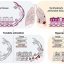 How lungs balance defense and damage by tuning responses to deeper threats
