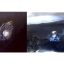 Microcrystals in bioluminescent fish scatter light like a prism