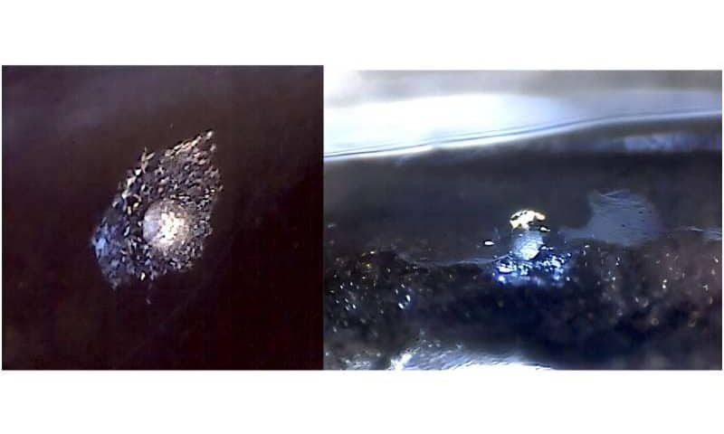 Microcrystals in bioluminescent fish scatter light like a prism