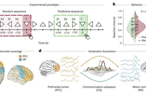 How a distinct communication subspace in the brain turns goals into actions