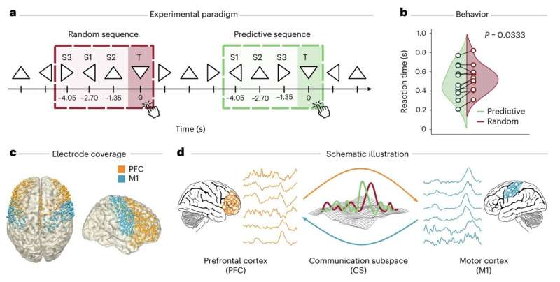 How a distinct communication subspace in the brain turns goals into actions