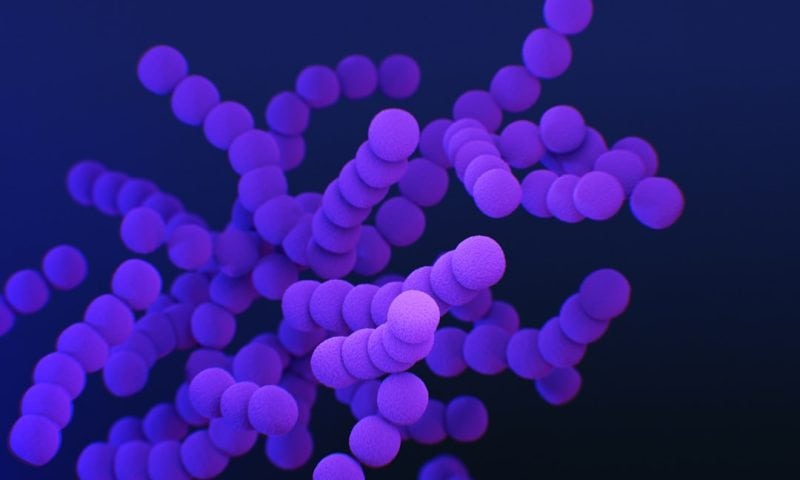 Rising Biotech Valuations Signal Major Oncology Pipeline Catalyst Events Ahead
