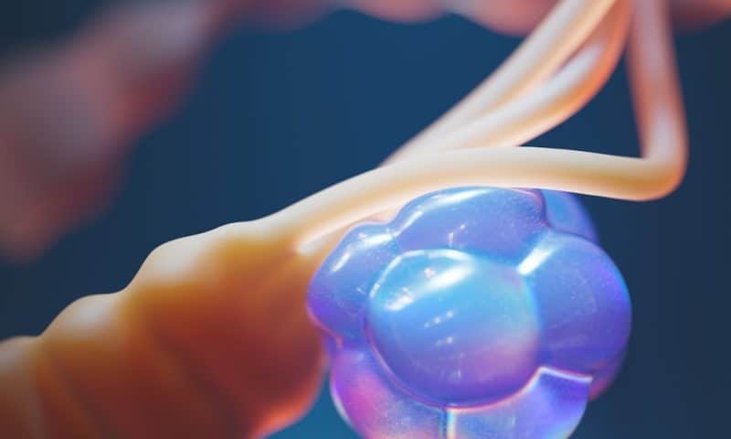 Global Regulatory Shifts Transform Oncology Pipeline Catalyst Opportunities for Biotech Investors