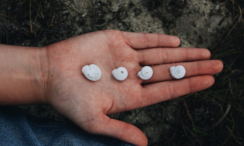 Market Signals Hidden in Orphan Drug Status Designations That Biotech Investors Can’t Ignore