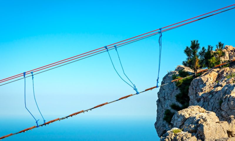 Breaking Down Patent Cliff Risk and the Hidden Opportunities for Biotech Investors