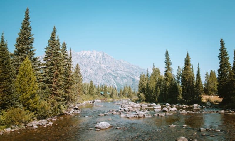 Inside the Hidden World of Royalty Stream Investments That Generate Passive Income
