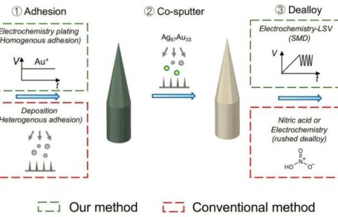 Gold-coated microneedles can detect subtleties in how liver and kidneys process drugs in real time