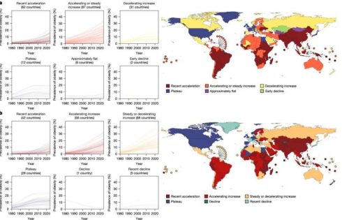 Wealth and health divide: Obesity rates plateau in rich nations but surge in developing world