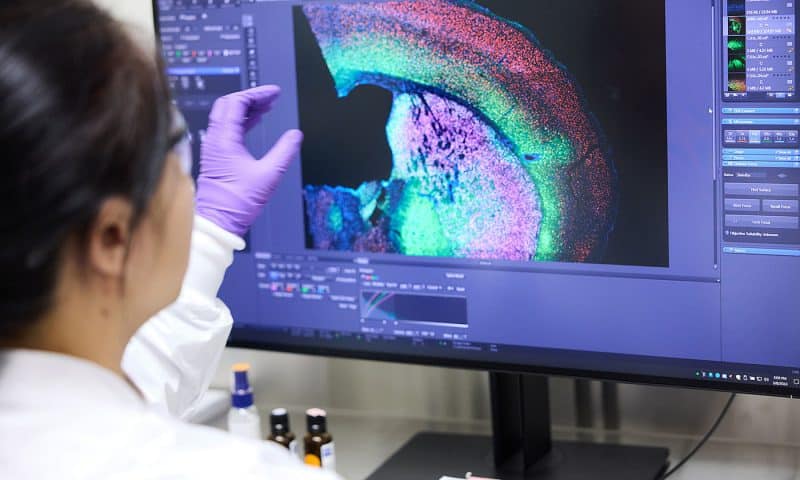 Gene Editing at Scale: Clinic Seeks Generalizable Therapies