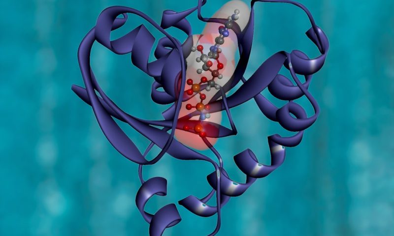 Breaking News Shows Gene Therapy Advance Sending Biotech Stocks Soaring